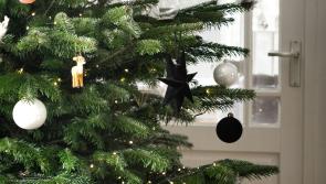 Christmas tree recycling available in Leitrim