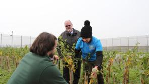 Native Tree Nursery near Limavady receives £93,414 in funds over two years