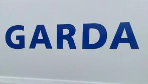 Two hospitalised following Longford crash