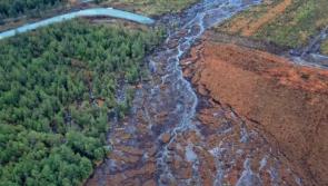 Meenbog Wind Farm developer seeks more time for substitute consent application