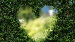 Altamont Gardens calls on Carlow singletons to attend their walking  event to connect