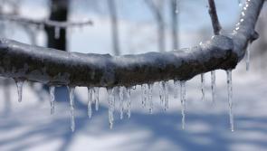 Met Éireann issues weather advisory for Limerick with potential for severe frost in coming days
