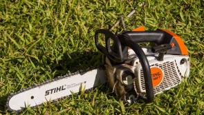 Chainsaw theft at Quigleys Point