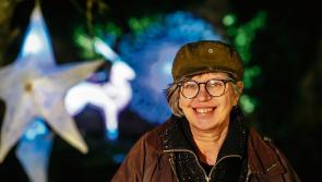 New artistic director appointed for Longford Lights Festival 2024