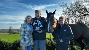 WATCH: HEWICK from Goresbridge to Cheltenham