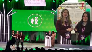 Best in Class: AVS students win big at BT Young Scientist competition
