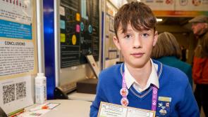 In Pictures: All the Donegal prizewinners from BT Young Scientiest finals 
