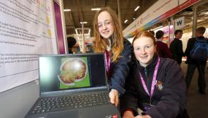 GALLERY: Kildare winners at BT Young Scientist & Technology Exhibition 2024
