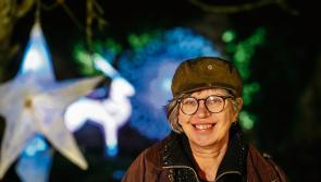 Offaly artist appointed as Artistic Director for major festival in the Midlands