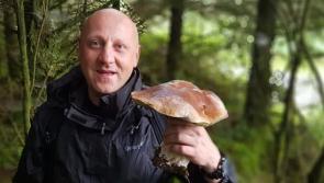 Fundraiser launched for Offaly employee to be returned for burial in his native Poland