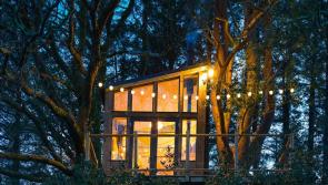 In pictures: Airbnb offering Treehouse in peaceful Donegal location 
