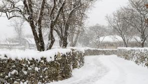 Met Éireann extends cold weather warning for Limerick amid snow threat for four counties