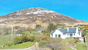 Houses sold for over half a million while some for less than &euro;40,000 in '23