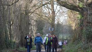 Events set to take place across north Louth for Brigid of Faughart Festival 2024 