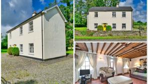 PICTURES: Stunning cottage with a difference for sale in Kildare but there's a catch