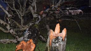Clean-up continues as Storm Isha leaves destruction in Donegal