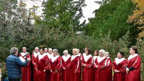 Action-packed St Brigid’s  weekend in Kilkenny