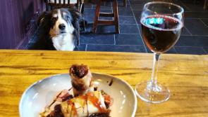 The Rusty Mackerel listed as one of the nation’s best pet cafés