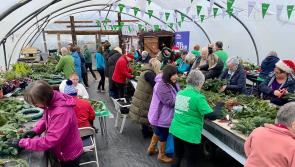 Garvagh man using gardening as a therapy for cancer patients