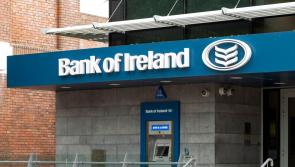 Kildare wildlife experts called in after oil spill from Bank of Ireland site 