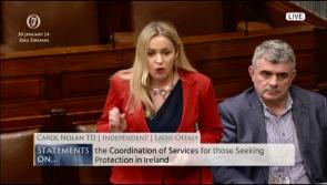 Roscrea Racket Hall Garda response "backfired" Carol Nolan tells the Dáil 