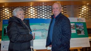 Link roads and overbridge proposed to ease traffic congestion on N24 Clonmel Inner Relief Road