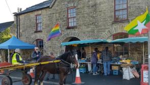 Mountshannon Community Market returns this bank holiday weekend