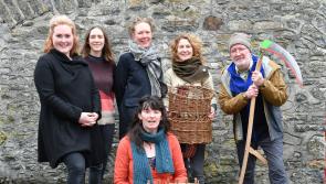 Kilkenny's Acorn Project launch five year strategic vision