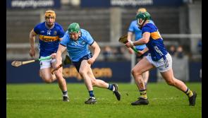 Tipperary Live player ratings - Tipperary vs Dublin in NHL - Round 1
