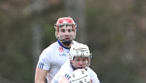 Some 17 Tipp players feature as Mary I dispatch TUS Midwest in Fitzgibbon Cup quarter