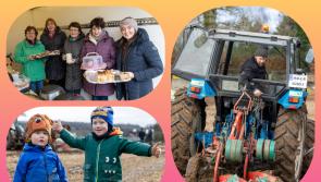 In PICTURES: Laois ploughers turn sod on new season in Portlaoise