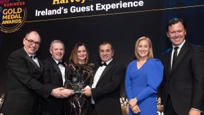 Harvey’s Point sweeps top honors at prestigious Gold Medal Awards
