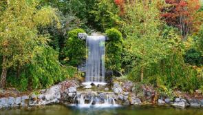 Carlow's Delta Sensory Gardens to appear on 'Home Grown' RTÉ TV show
