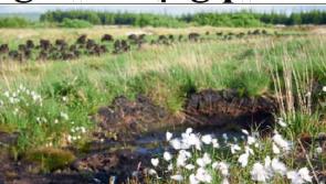 €30 million Peatlands and People Discovery visitor attraction for bog in west Offaly