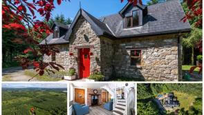 PICTURES: Dream cottage nestled away in Leitrim forest on sale for €210k