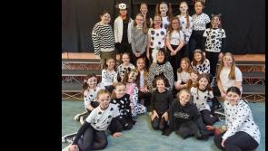 101 dalmatians and more made Tipperary school's book week pure magic
