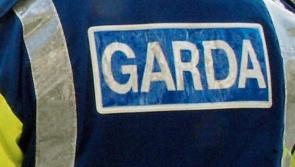 Kildare court: Former psychology student fined for kicking garda