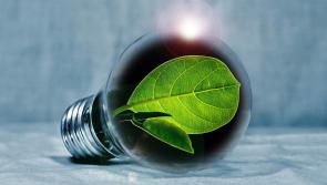 Fifteen Laois businesses approved for Green for Business scheme 