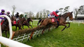 Weekly Racing News - Tipperary winners to the fore this week with a 100/1 winner amongst them!