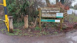 Works at a well-known Kilkenny walkway get the green light 