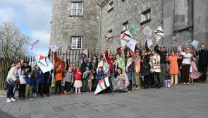 Organisers slam 'unfair' decision by Kilkenny Castle to move event
