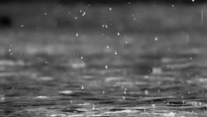 ALERT: Carlow added to yellow rain warning from Met Éireann 