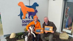 Dundalk Dog Rescue receive a grant of €1,000