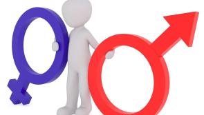 Column:  Are gender quotas a good idea or do they create discrimination?