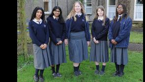 Wildlife garden planned for Dundalk Grammar School