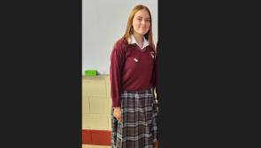 Wise wordsmith from County Kildare school wins regional speech writing final