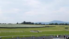 Seven-race National Hunt card at Clonmel has been cancelled