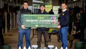 TRM to back six races at Naas Racecourse during flat season