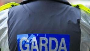 Kildare gardaí investigating  theft from a car and criminal damage incident in Athy