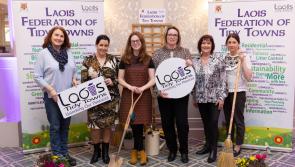 PICTURES: Laois Tidy Towns 'unlock potential' with annual meeting 